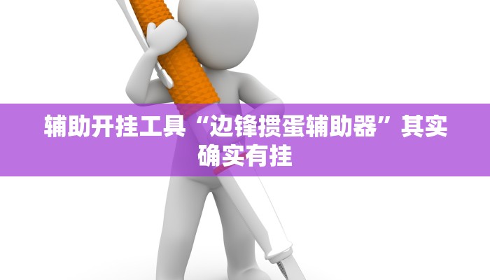 辅助开挂工具“边锋掼蛋辅助器”其实确实有挂