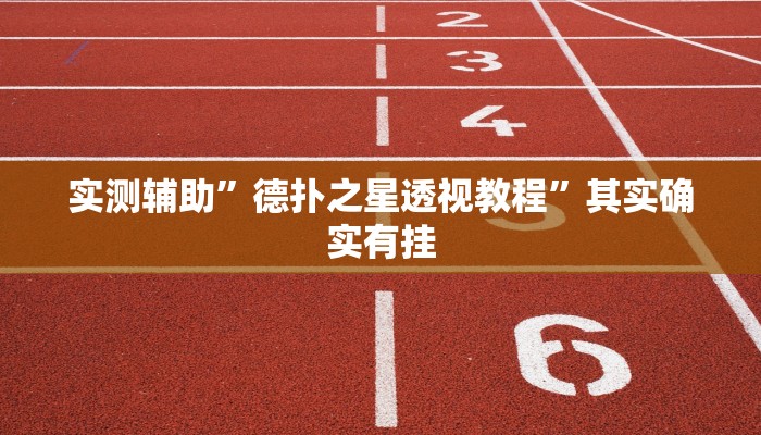 实测辅助”德扑之星透视教程”其实确实有挂