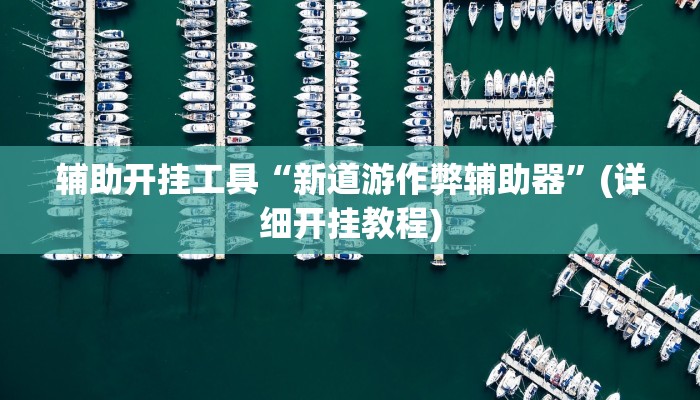 辅助开挂工具“新道游作弊辅助器”(详细开挂教程)