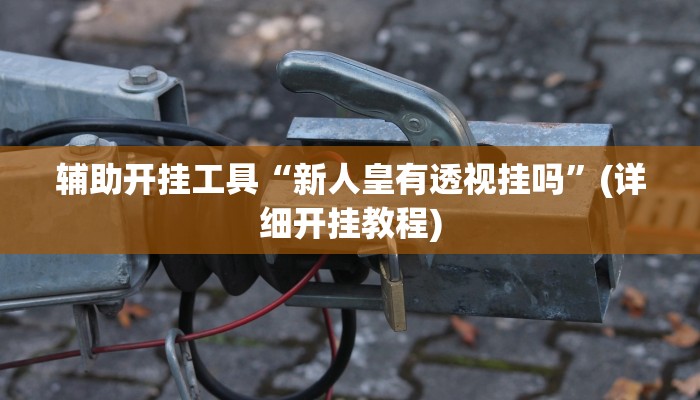 辅助开挂工具“新人皇有透视挂吗”(详细开挂教程)
