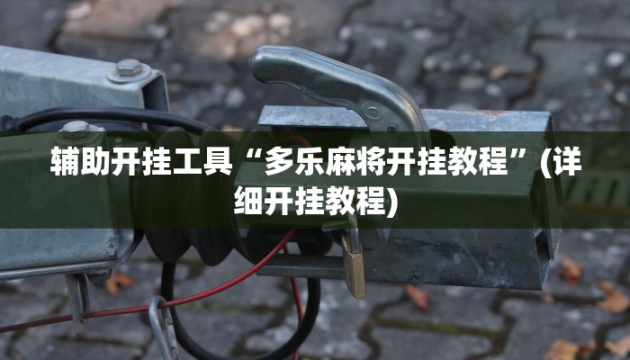 辅助开挂工具“多乐麻将开挂教程”(详细开挂教程)