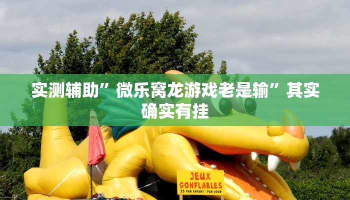 实测辅助”微乐窝龙游戏老是输”其实确实有挂