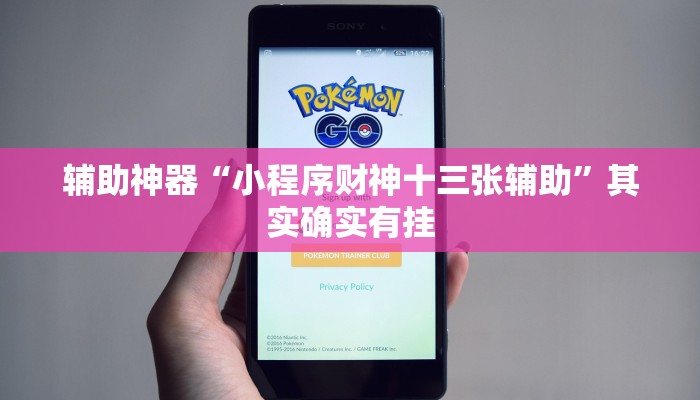 辅助神器“小程序财神十三张辅助”其实确实有挂
