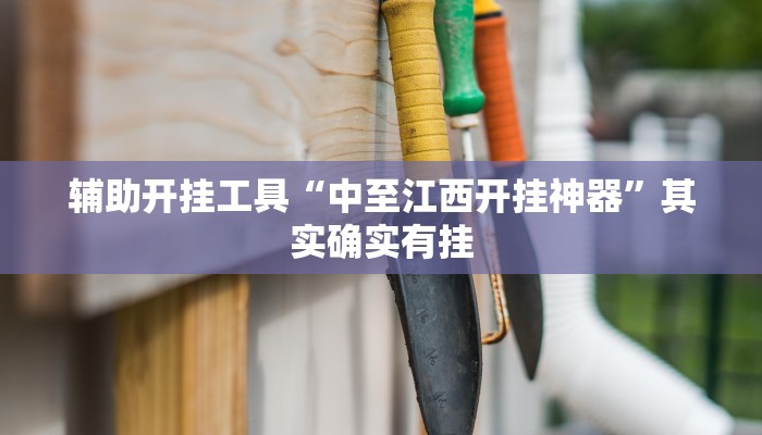 辅助开挂工具“中至江西开挂神器”其实确实有挂