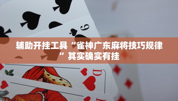 辅助开挂工具“雀神广东麻将技巧规律”其实确实有挂