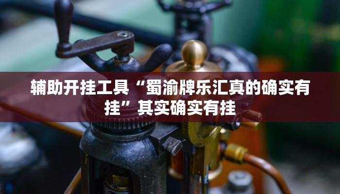 辅助开挂工具“蜀渝牌乐汇真的确实有挂”其实确实有挂