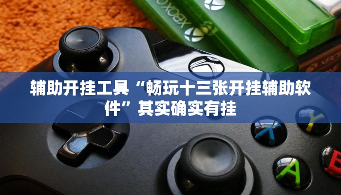 辅助开挂工具“畅玩十三张开挂辅助软件”其实确实有挂