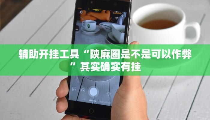 辅助开挂工具“陕麻圈是不是可以作弊”其实确实有挂