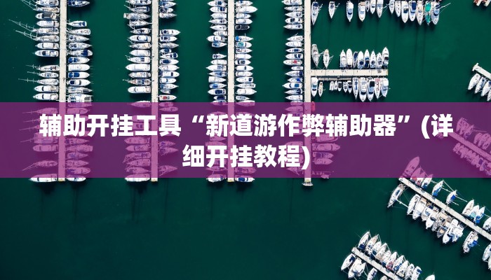 辅助开挂工具“新道游作弊辅助器”(详细开挂教程)