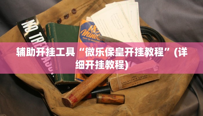 辅助开挂工具“微乐保皇开挂教程”(详细开挂教程)