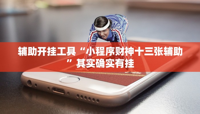 辅助开挂工具“小程序财神十三张辅助”其实确实有挂