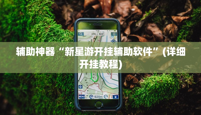 辅助神器“新星游开挂辅助软件”(详细开挂教程)