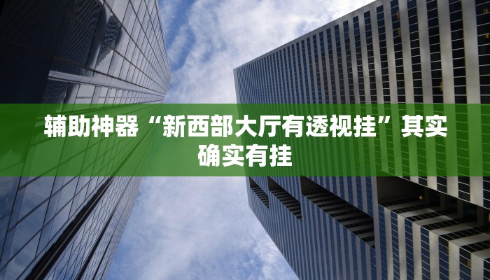 辅助神器“新西部大厅有透视挂”其实确实有挂