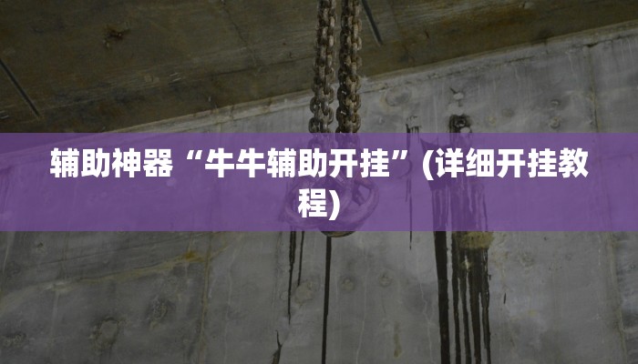 辅助神器“牛牛辅助开挂”(详细开挂教程)