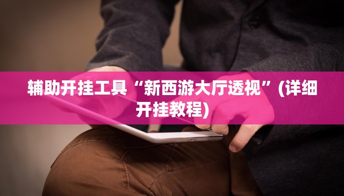 辅助开挂工具“新西游大厅透视”(详细开挂教程)