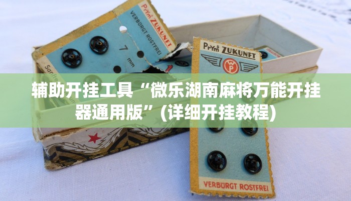 辅助开挂工具“微乐湖南麻将万能开挂器通用版”(详细开挂教程)