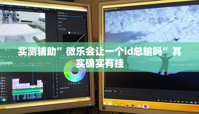实测辅助”微乐会让一个id总输吗”其实确实有挂