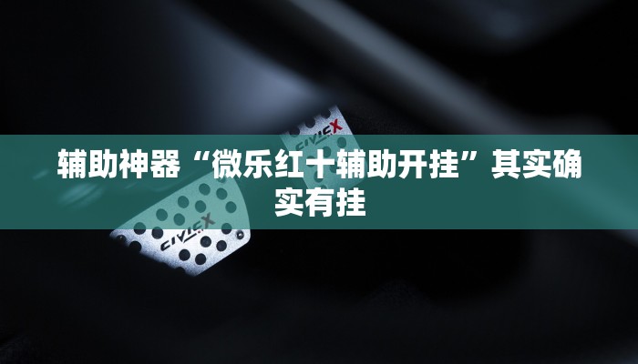 辅助神器“微乐红十辅助开挂”其实确实有挂