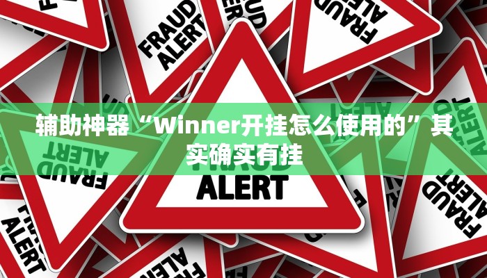 辅助神器“Winner开挂怎么使用的”其实确实有挂
