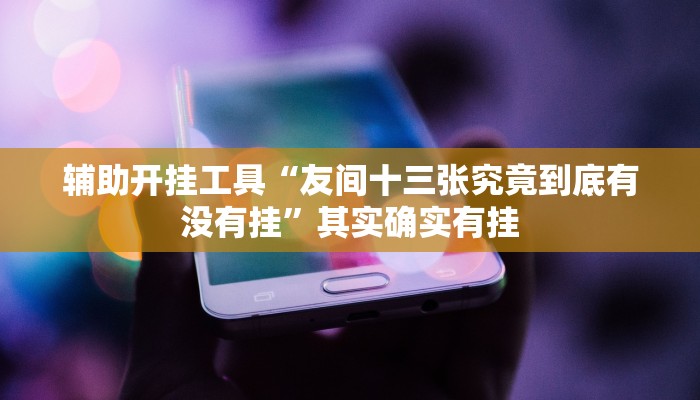 辅助开挂工具“友间十三张究竟到底有没有挂”其实确实有挂