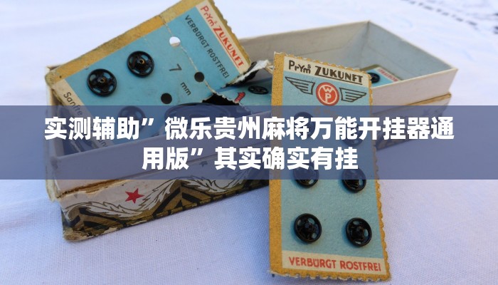 实测辅助”微乐贵州麻将万能开挂器通用版”其实确实有挂