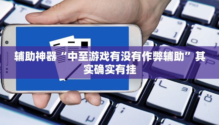 辅助神器“中至游戏有没有作弊辅助”其实确实有挂