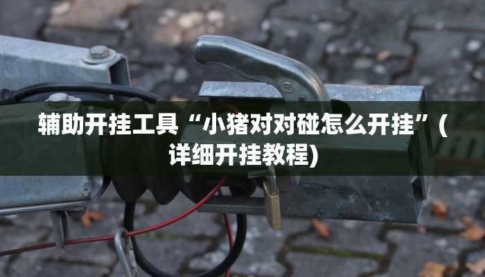 辅助开挂工具“小猪对对碰怎么开挂”(详细开挂教程)