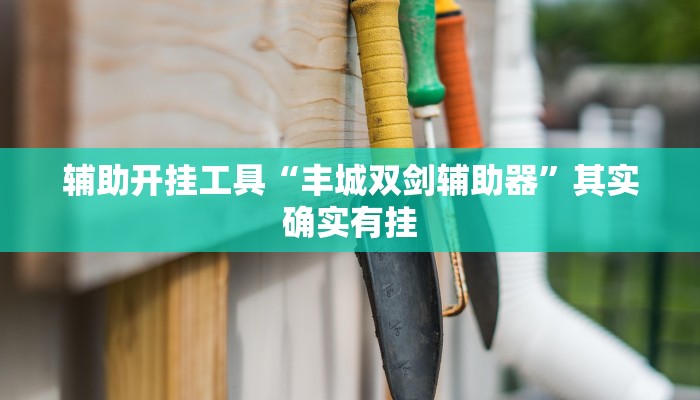 辅助开挂工具“丰城双剑辅助器”其实确实有挂