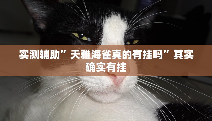 实测辅助”天雅海雀真的有挂吗”其实确实有挂