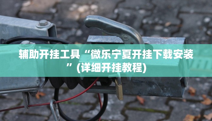 辅助开挂工具“微乐宁夏开挂下载安装”(详细开挂教程)