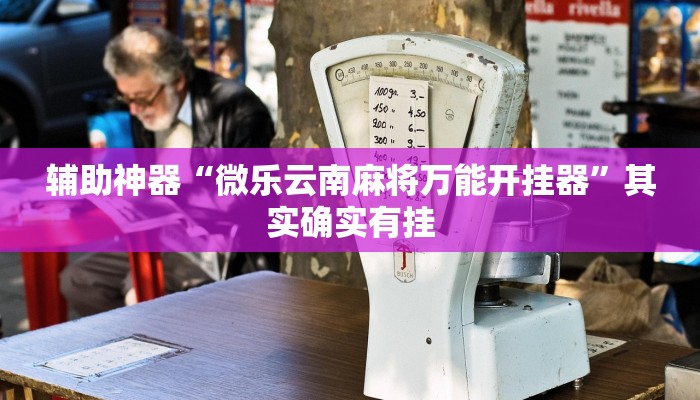 辅助神器“微乐云南麻将万能开挂器”其实确实有挂