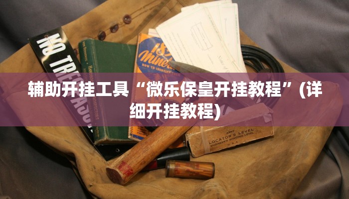 辅助开挂工具“微乐保皇开挂教程”(详细开挂教程)