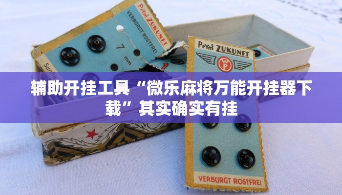 辅助开挂工具“微乐麻将万能开挂器下载”其实确实有挂