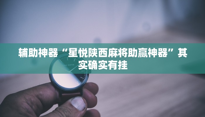 辅助神器“星悦陕西麻将助赢神器”其实确实有挂
