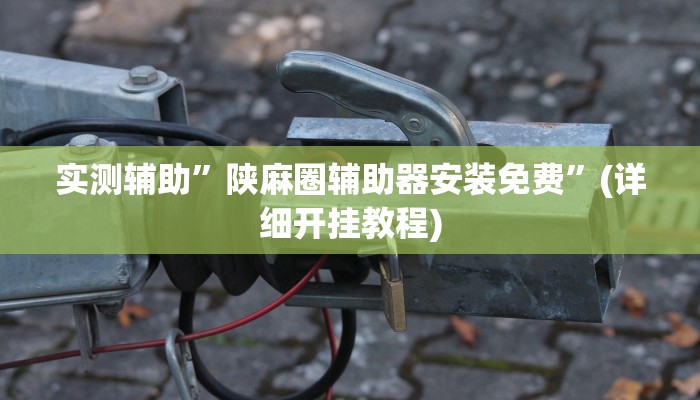 实测辅助”陕麻圈辅助器安装免费”(详细开挂教程)
