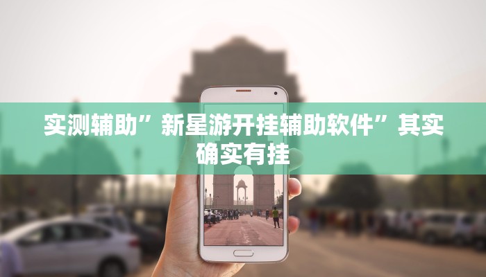 实测辅助”新星游开挂辅助软件”其实确实有挂
