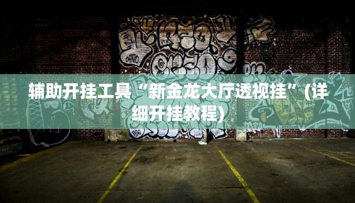 辅助开挂工具“新金龙大厅透视挂”(详细开挂教程)