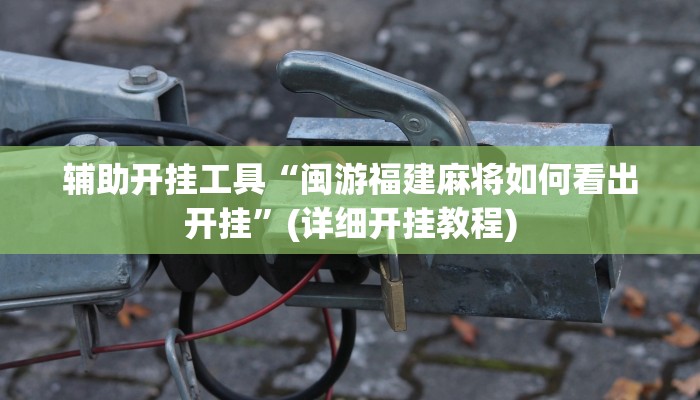 辅助开挂工具“闽游福建麻将如何看出开挂”(详细开挂教程)
