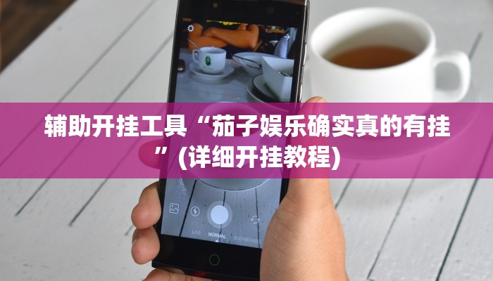 辅助开挂工具“茄子娱乐确实真的有挂”(详细开挂教程)
