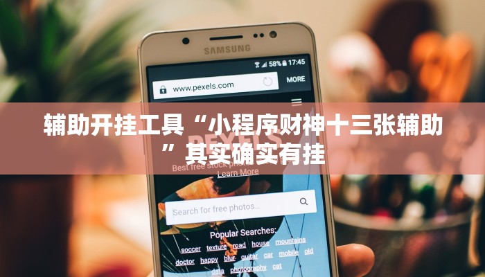 辅助开挂工具“小程序财神十三张辅助”其实确实有挂