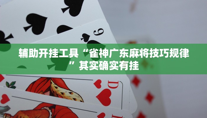 辅助开挂工具“雀神广东麻将技巧规律”其实确实有挂