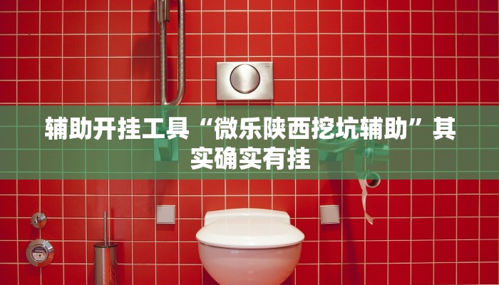 辅助开挂工具“微乐陕西挖坑辅助”其实确实有挂
