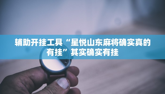 辅助开挂工具“星悦山东麻将确实真的有挂”其实确实有挂