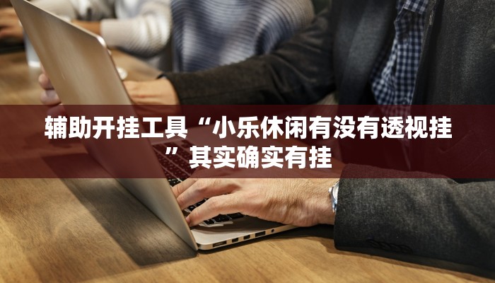 辅助开挂工具“小乐休闲有没有透视挂”其实确实有挂
