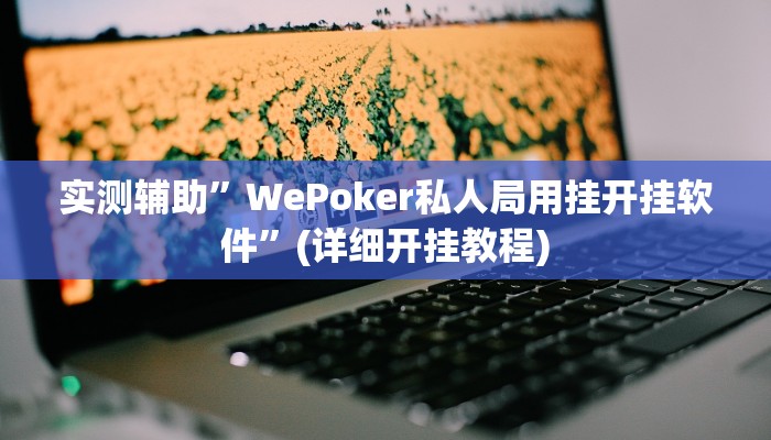 实测辅助”WePoker私人局用挂开挂软件”(详细开挂教程)