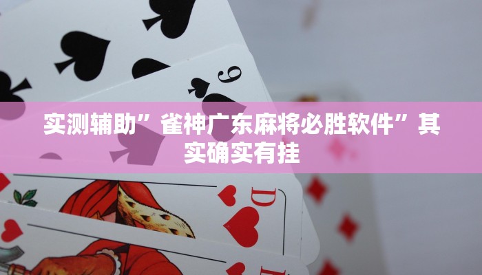 实测辅助”雀神广东麻将必胜软件”其实确实有挂