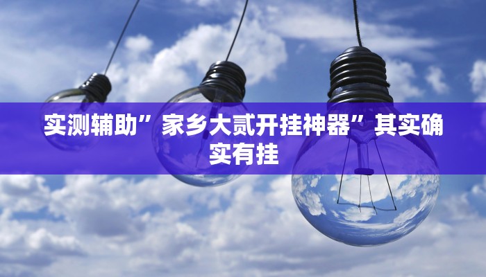 实测辅助”家乡大贰开挂神器”其实确实有挂