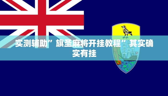 实测辅助”旗圣麻将开挂教程”其实确实有挂